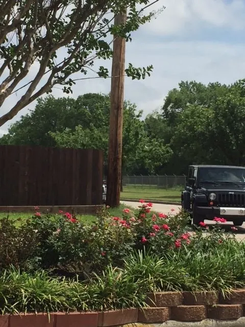 Professional landscaping services in Huntsville, TX - Gail's Lawn Service & Landscaping