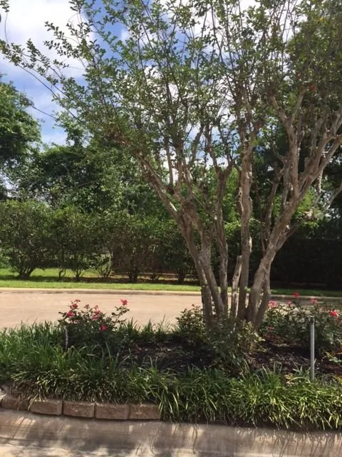 Affordable yard cleanup service in Huntsville, TX by Gail's Lawn Service & Landscaping