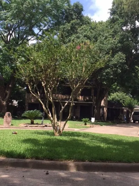 Local yard maintenance for outdoor upgrades in Huntsville, TX by Gail's Lawn Service & Landscaping