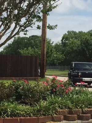 Gail's Lawn Service & Landscaping