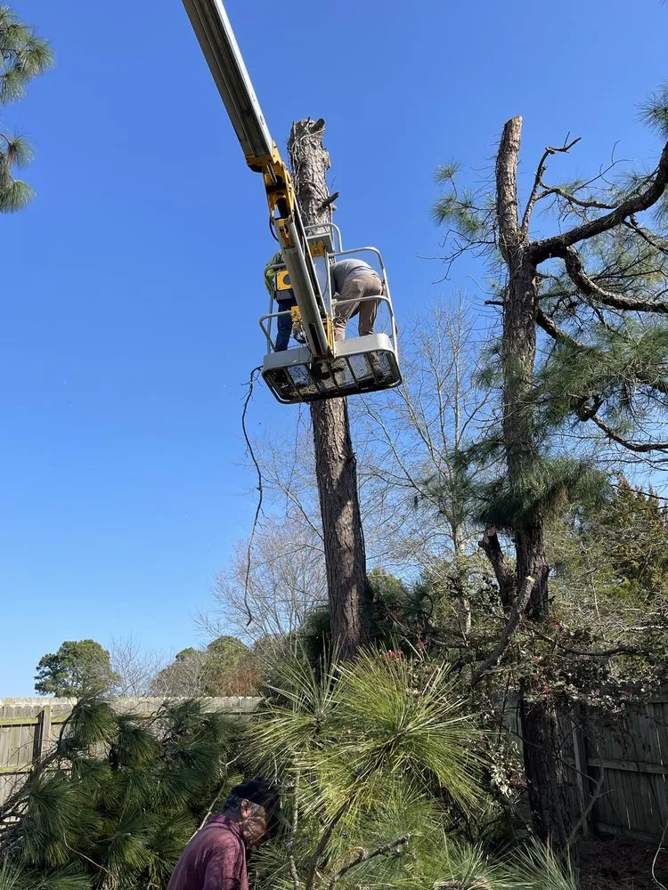 Top-rated lawn care service in Wilmington, NC - Gain Us Lawns and More