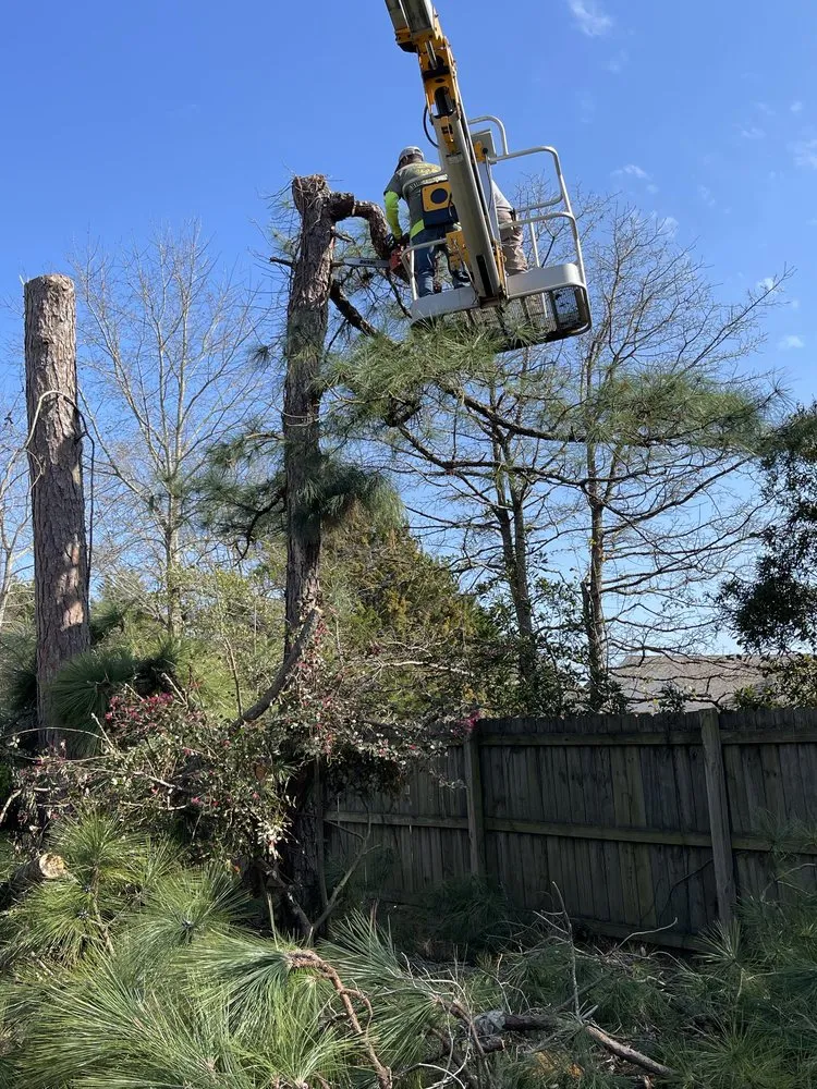 Affordable lawn mowing service in Wilmington, NC - Gain Us Lawns and More