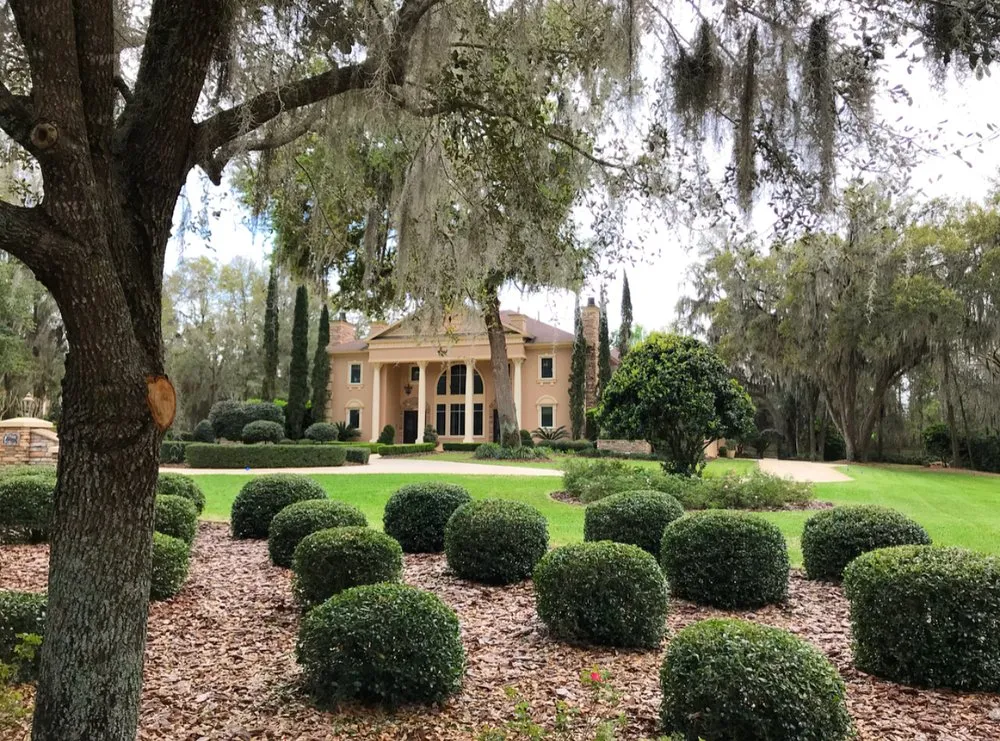 Trusted yard cleanup service in Gainesville, FL by Gainessville Lawn Care