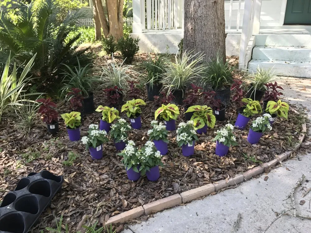 Affordable yard cleanup service in Gainesville, FL by Gainessville Lawn Care