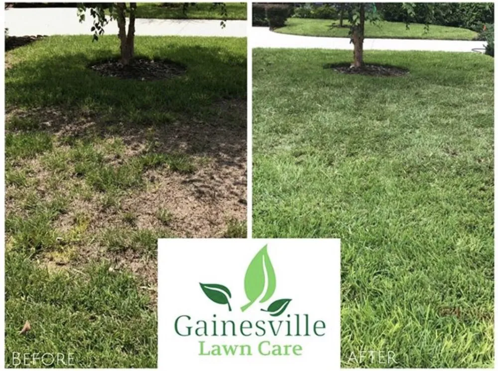 Custom outdoor landscaping in Gainesville, FL - Gainessville Lawn Care