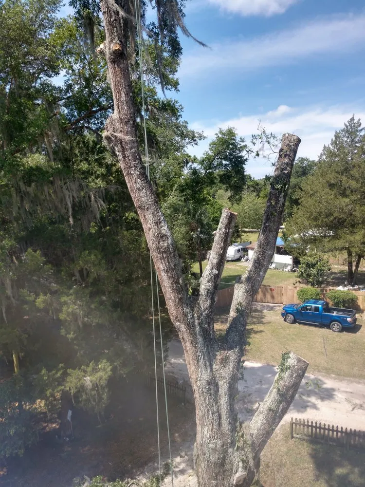 Professional landscape installation in Micanopy, FL - Gainesville Greenscapes