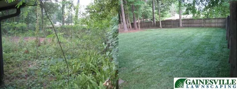 Expert residential landscaping with custom design in Gainesville, FL by Gainesville Lawnscaping
