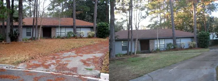 Local landscape installation for homes across Gainesville, FL - Gainesville Lawnscaping