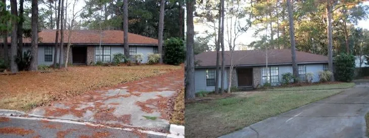 Professional landscape installation with custom design in Gainesville, FL by Gainesville Lawnscaping