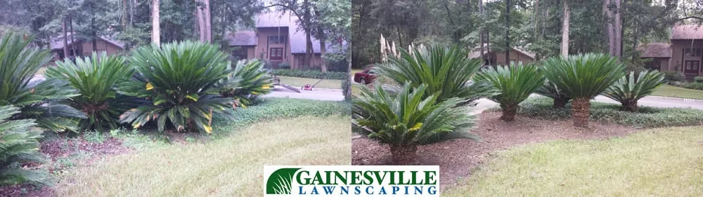 Local lawn mowing service in Gainesville, FL - Gainesville Lawnscaping
