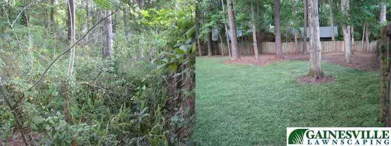 Local lawn care service for beautiful yards in Gainesville, FL by Gainesville Lawnscaping