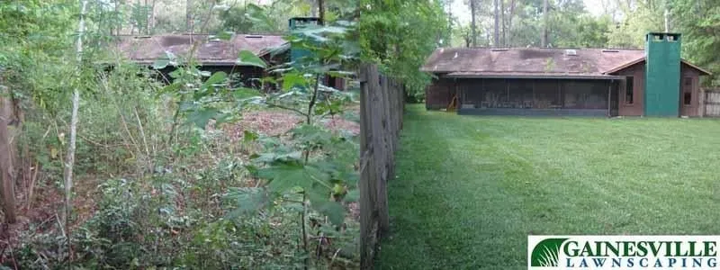 Affordable lawn care service for homes across Gainesville, FL - Gainesville Lawnscaping