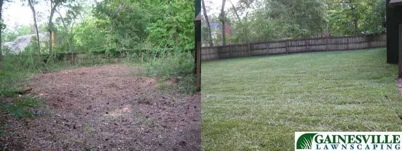 Top-rated landscape design experts serving Gainesville, FL - Gainesville Lawnscaping