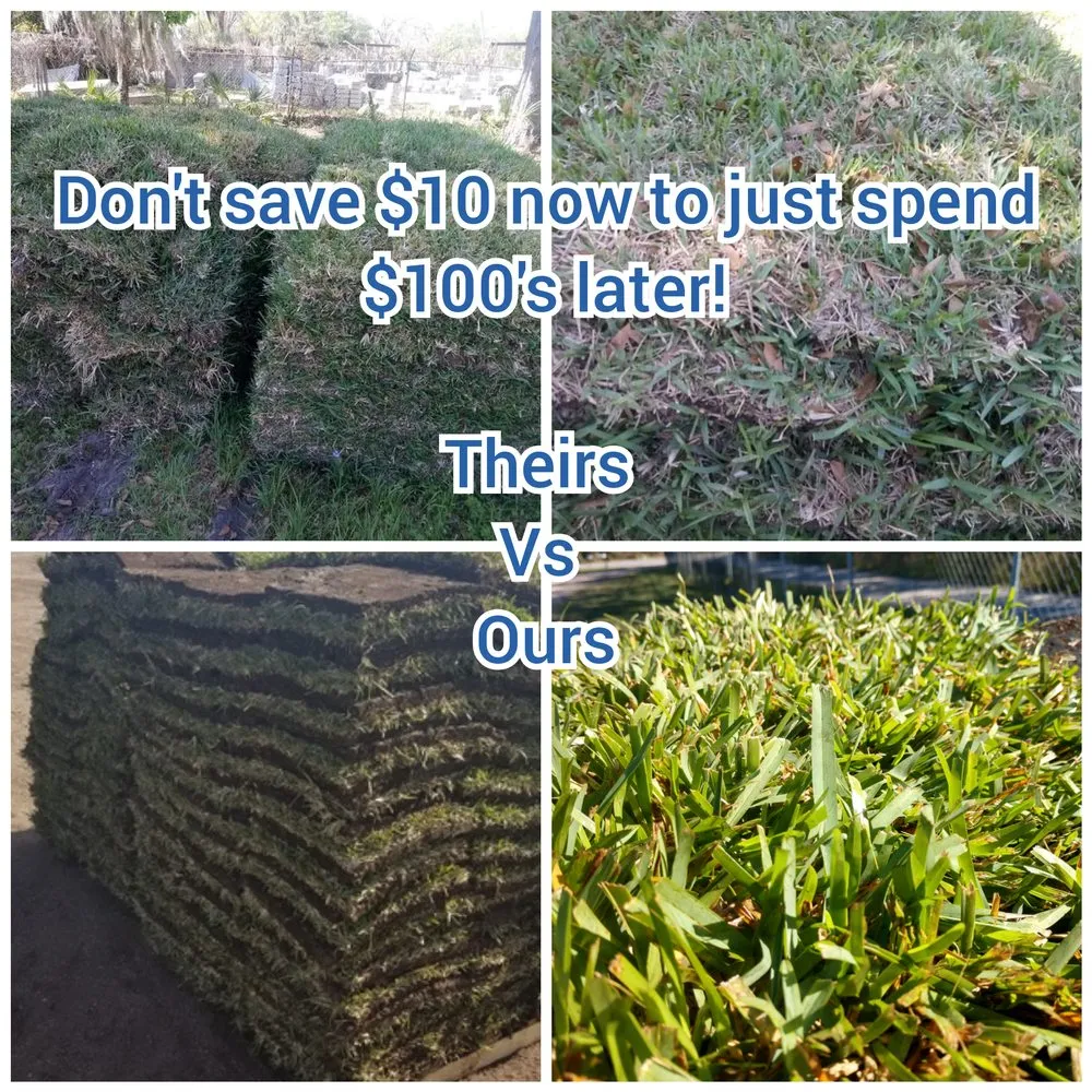 Top-rated landscape design in Gainesville, FL by Gainesville Sod