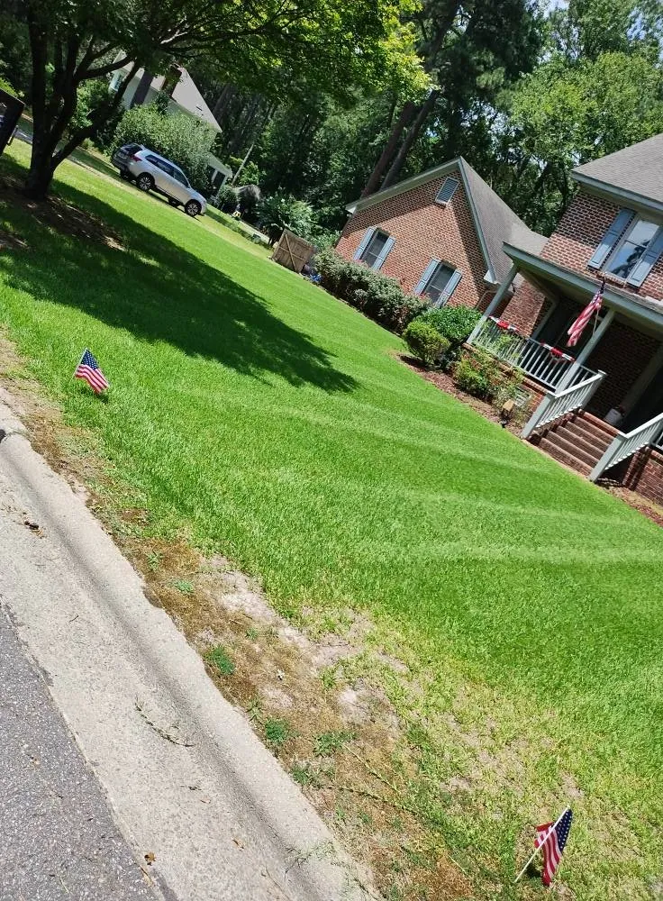 Top-rated yard cleanup service for residential properties in Gaston, NC by Gainey Lawn Care