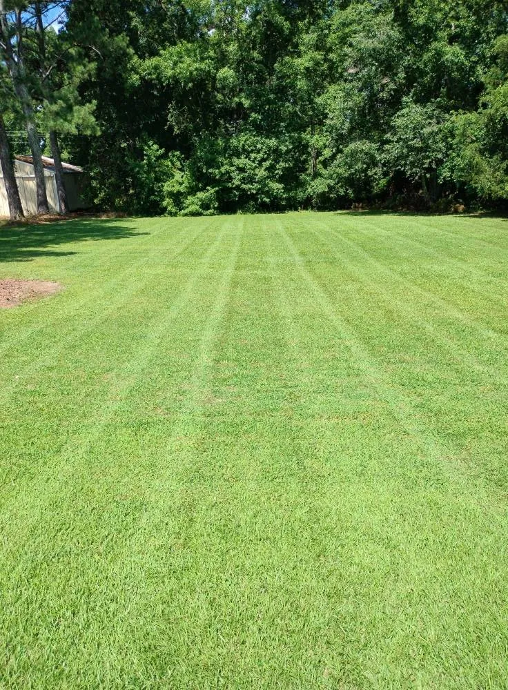 Expert outdoor landscaping experts serving Gaston, NC - Gainey Lawn Care
