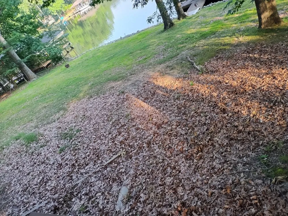 Custom lawn care service in Gaston, NC by Gainey Lawn Care