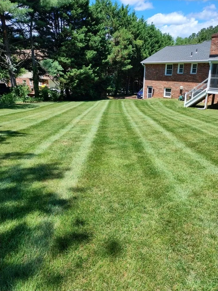 Local yard maintenance experts serving Gaston, NC - Gainey Lawn Care
