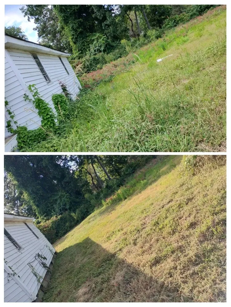 Local outdoor landscaping in Gaston, NC - Gainey Lawn Care