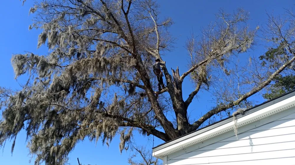 Reliable lawn mowing service in Panama City, FL by Gainey's Yard Services