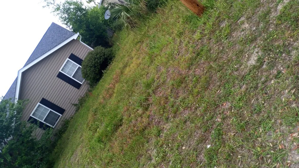 Reliable yard maintenance for outdoor upgrades in Panama City, FL by Gainey's Yard Services