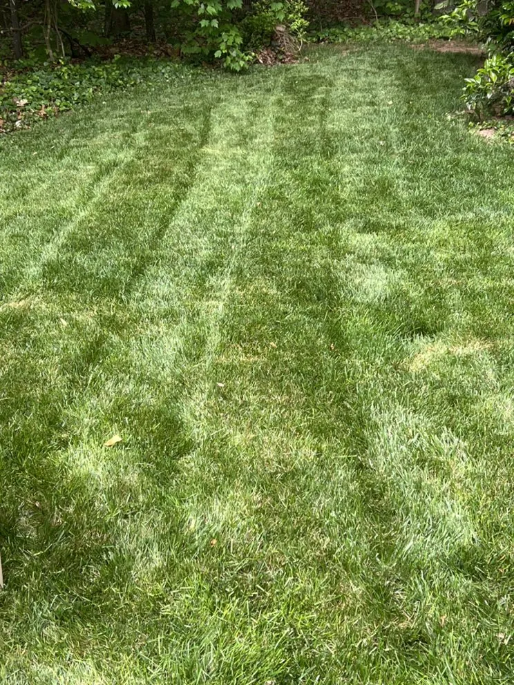 Top-rated yard cleanup service for homes across High Point, NC - Gaither’s Lawn Care