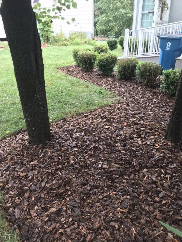 Expert yard maintenance in High Point, NC - Gaither’s Lawn Care