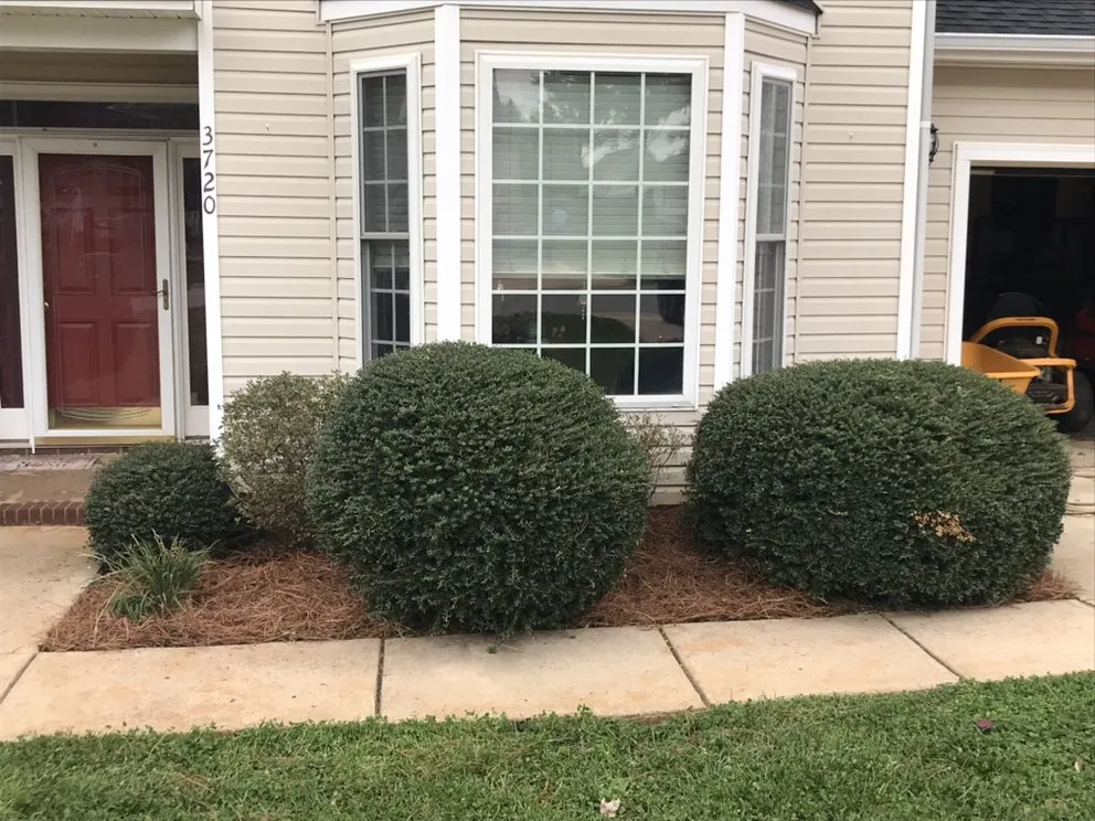 Expert lawn mowing service for residential properties across High Point, NC - Gaither’s Lawn Care