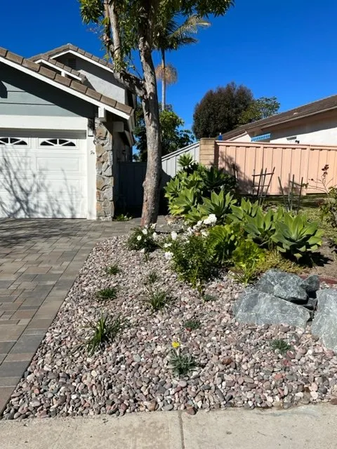 Professional lawn care service in Escondido, CA - Gala Services