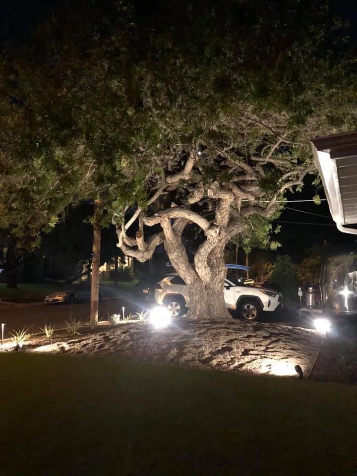 Local landscape installation in Escondido, CA - Gala Services