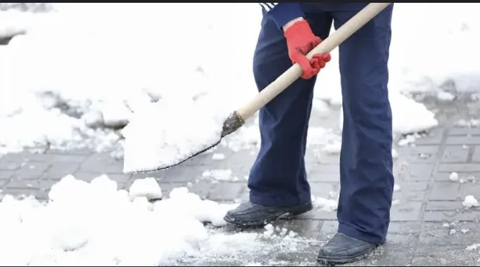 Trusted garden landscaping near you across Howell, MI - Galactic Services