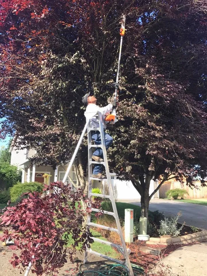 Professional lawn mowing service for outdoor upgrades across Vancouver, WA - Galan Landscaping