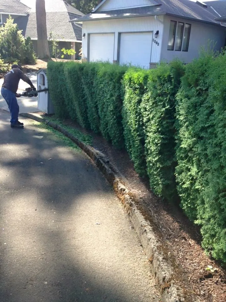 Trusted lawn care service in Vancouver, WA by Galan Landscaping