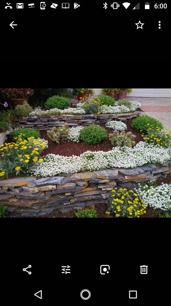 Reliable residential landscaping for beautiful yards across San Diego, CA - Galarza Landscaping