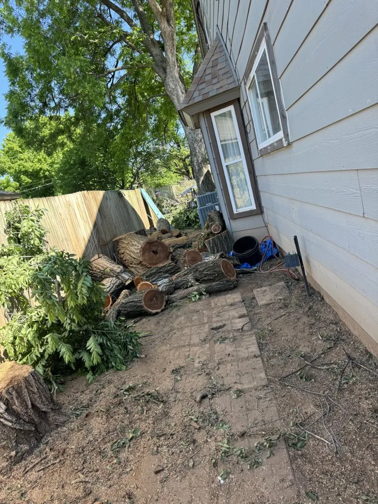 Top-rated landscaping services experts serving Tulsa, OK - Galarza stump grinding