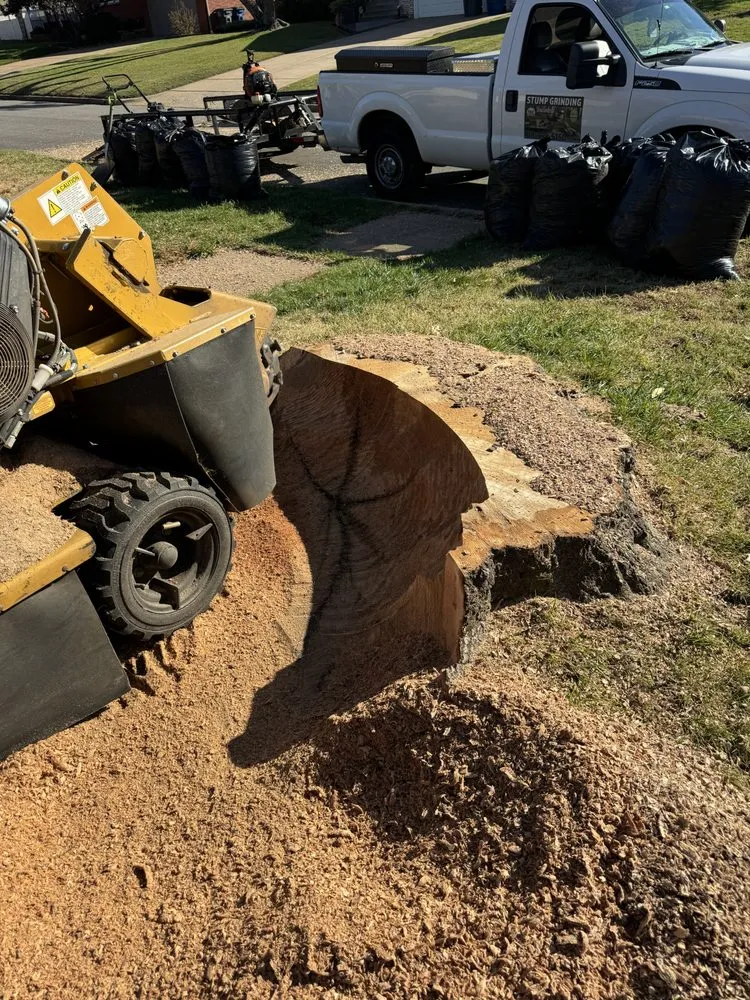 Local outdoor landscaping experts serving Tulsa, OK - Galarza stump grinding