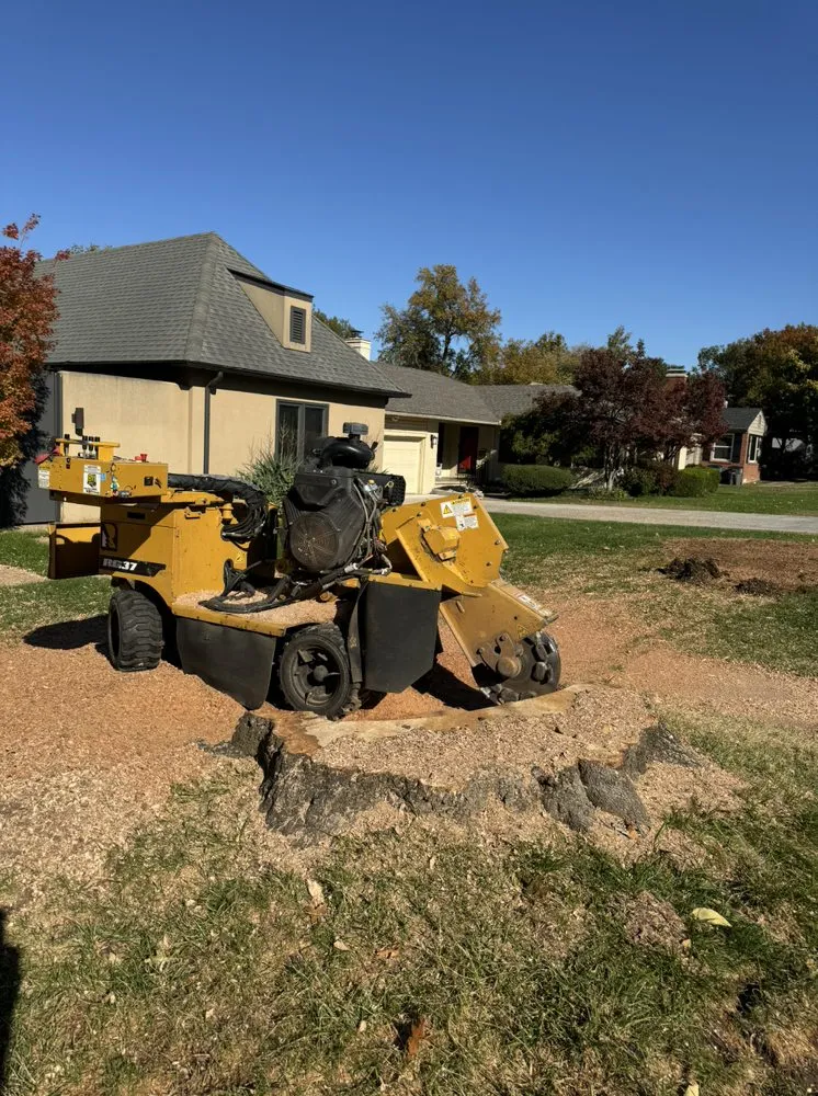 Expert lawn mowing service for residential properties across Tulsa, OK - Galarza stump grinding