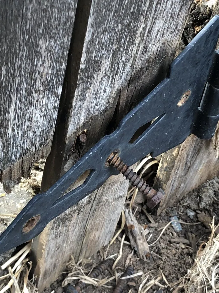 Local outdoor landscaping for year-round maintenance across Caddo Mills, TX - Galaxy Contractors