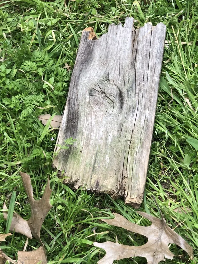 Local landscape design experts serving Caddo Mills, TX - Galaxy Contractors