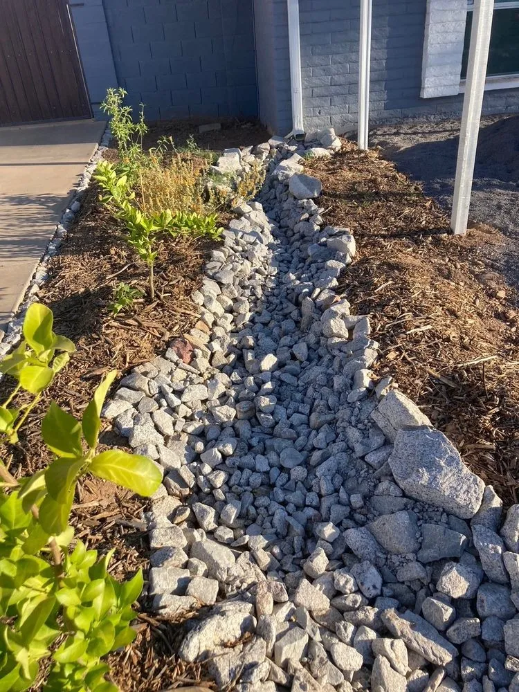 Affordable landscape installation in Gilbert, AZ by Galaxy Gardens AZ
