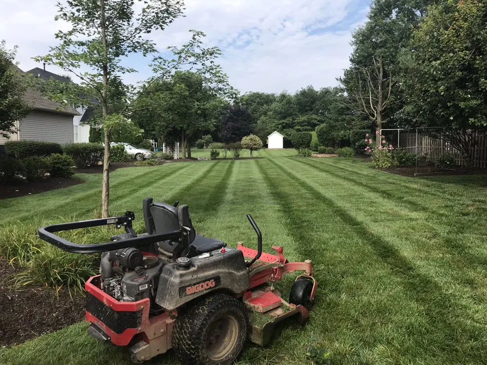 Affordable yard maintenance in Holland, PA - Galaxy Landscaping