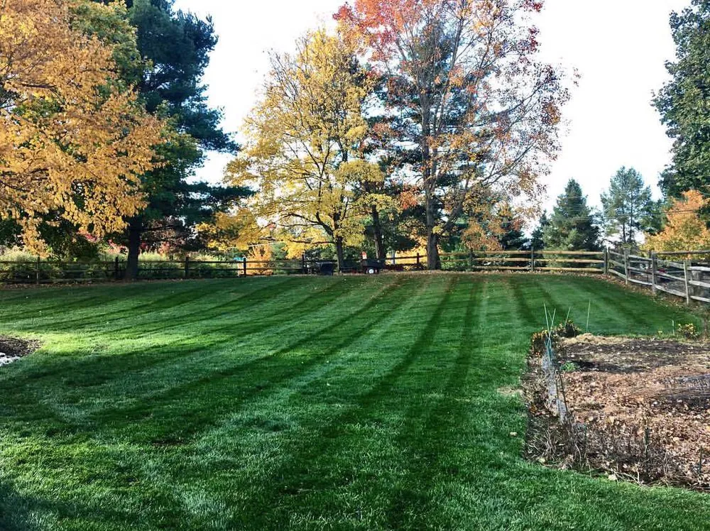 Trusted outdoor landscaping for residential properties in Holland, PA by Galaxy Landscaping