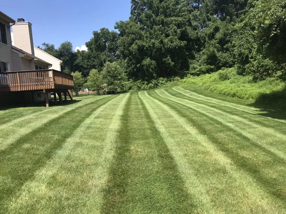 Expert yard maintenance in Holland, PA - Galaxy Landscaping