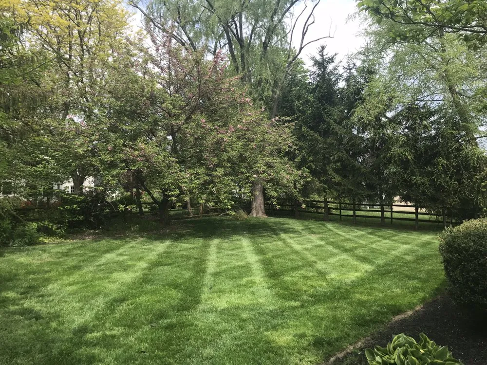Reliable landscaping services for outdoor upgrades in Holland, PA by Galaxy Landscaping