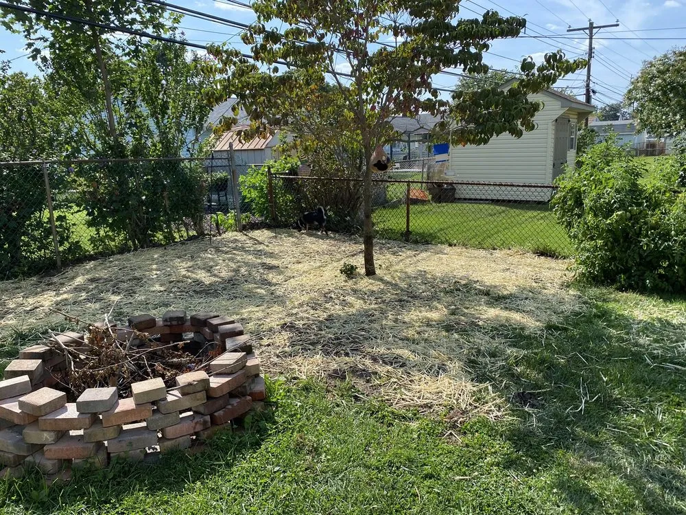Professional landscape design for beautiful yards in Holland, PA by Galaxy Landscaping