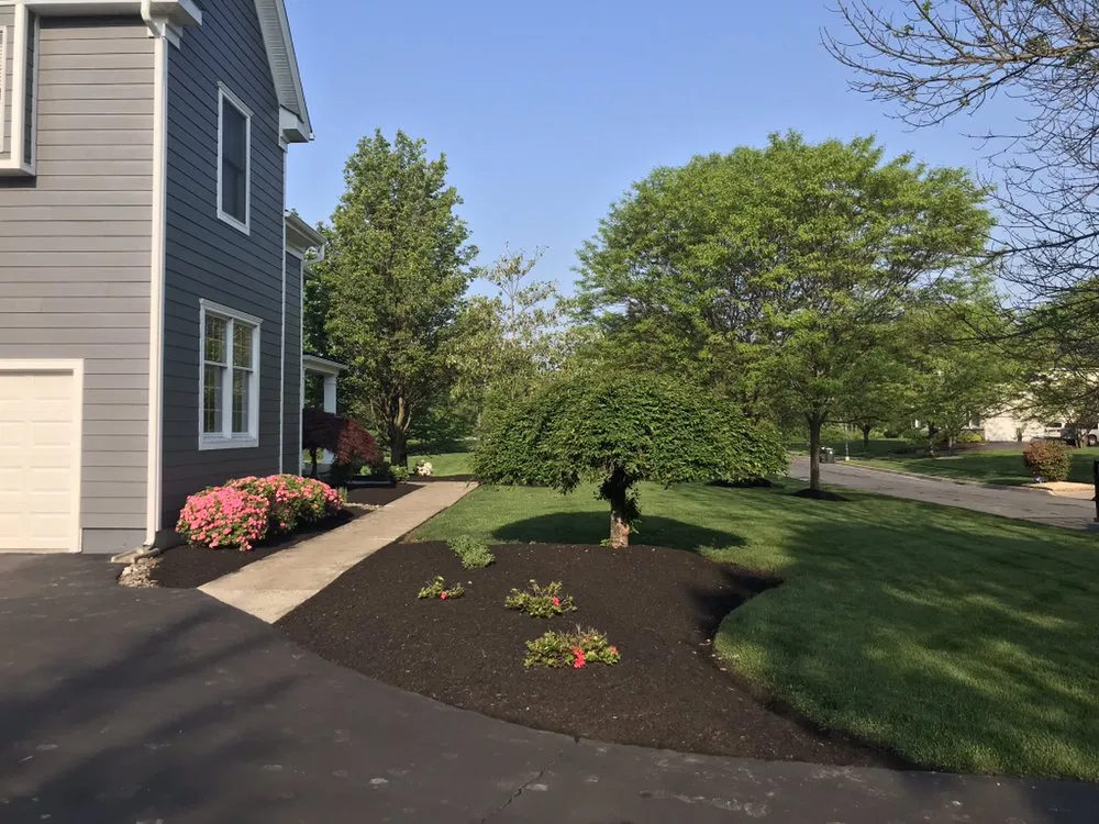 Local lawn mowing service near you in Holland, PA by Galaxy Landscaping