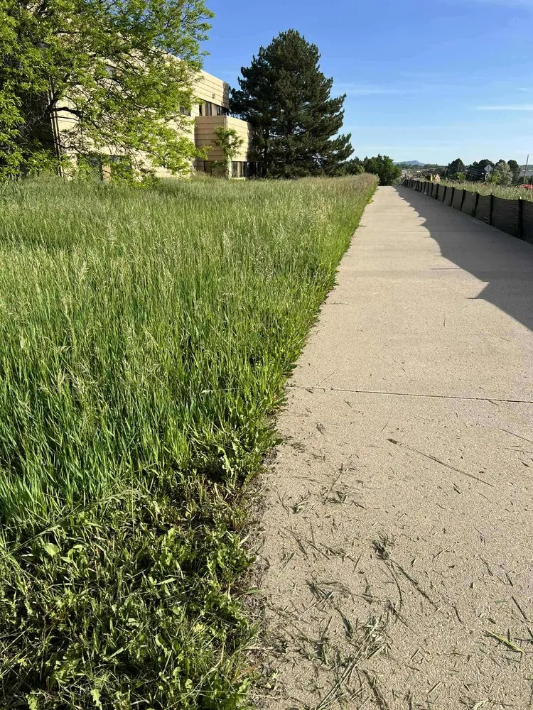 Professional garden landscaping in Longmont, CO - Galaxy Landscaping