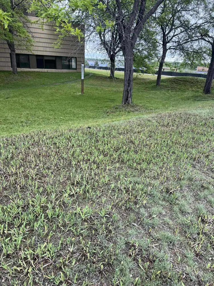 Custom landscape installation near you across Longmont, CO - Galaxy Landscaping