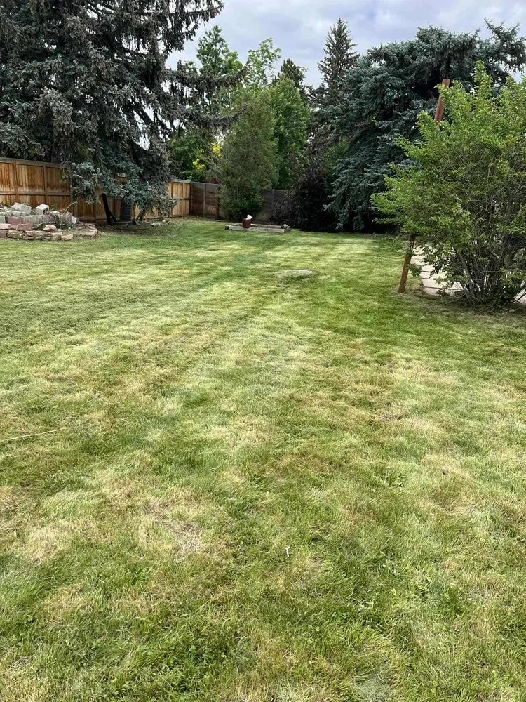 Local yard maintenance experts serving Longmont, CO - Galaxy Landscaping