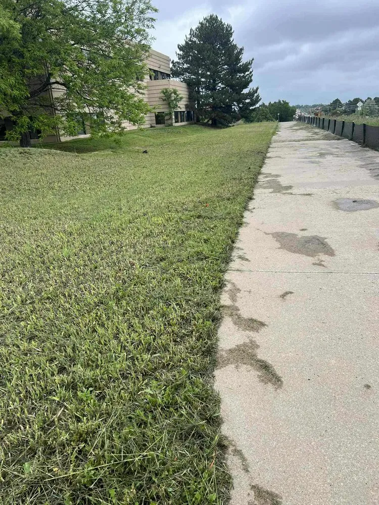 Trusted yard cleanup service for year-round maintenance across Longmont, CO - Galaxy Landscaping